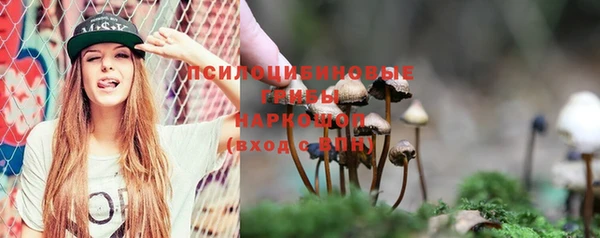 сатива Волосово