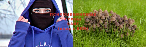 МДПВ Волоколамск